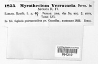 Myrothecium verrucaria image